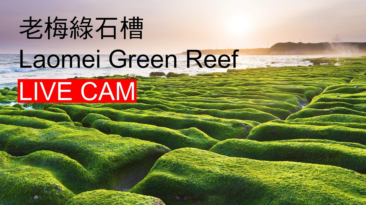 Live webcam view of Laomei Green Reef Stone Troughs