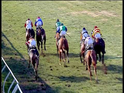 Galoppo 26/01/2019 - 2ª corsa