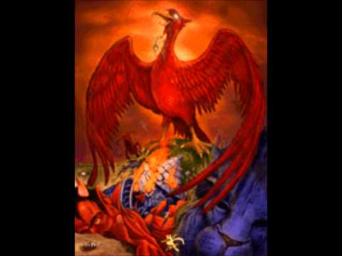 dj cocky -  tom wilson v Pamela fernandez