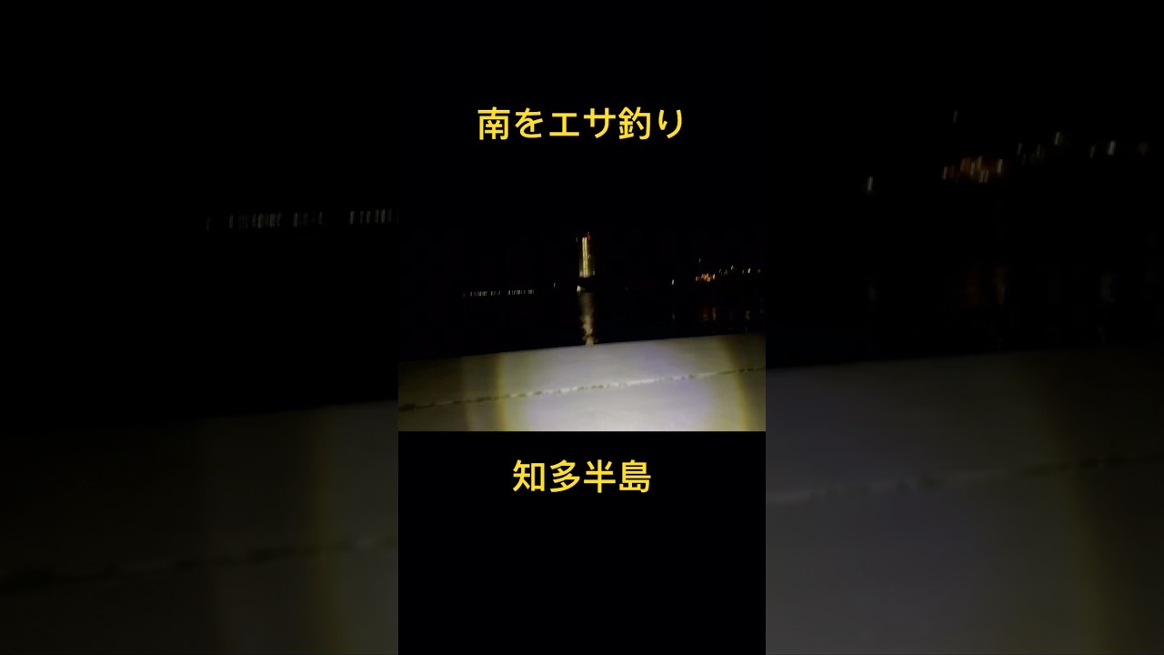 3月の岸壁でエサ釣りすると？知多半島 知多湾#知多半島#エサ釣り#知多湾