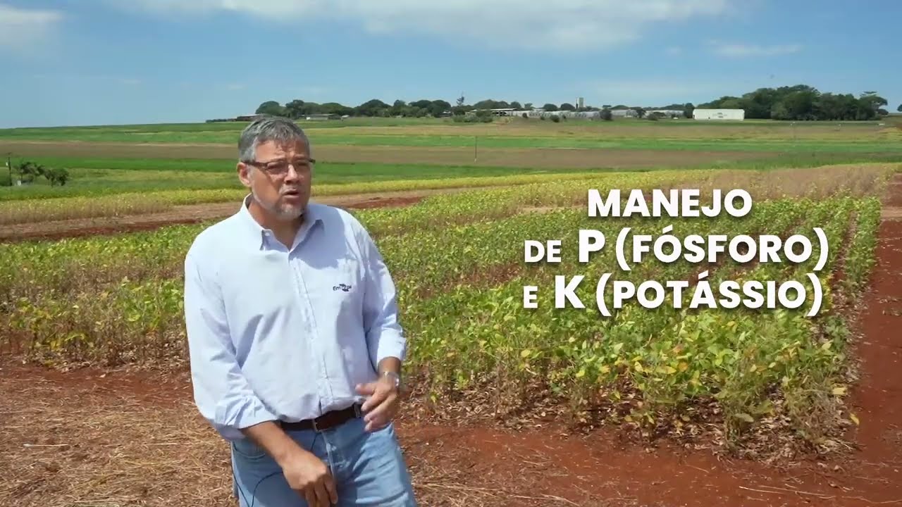 EQUILÍBRIO NUTRICIONAL DA SOJA