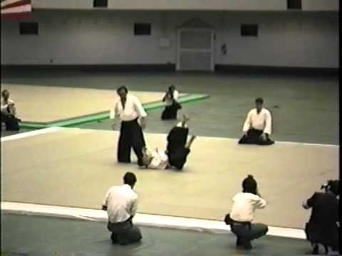 1995-May All Japan Aikido Demo #33 Fujita-sensei