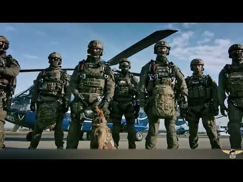 Mercenario de guerra