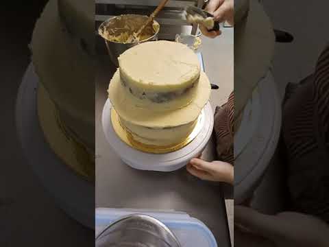 Kara's 6th Birthday Cake - Kaley Bird's Cabin