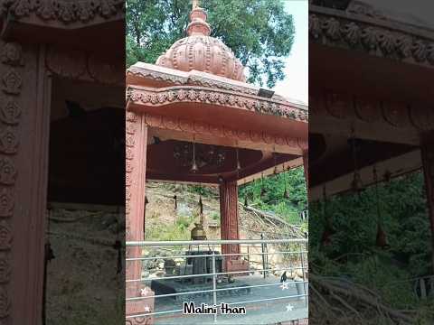 #malini #than #shorts #viral #malinithan