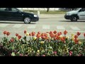 Creepypasta Teletubbies Lost Episode SeeSaw