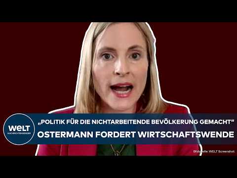 NACH DER BUNDESTAGSWAHL: "Jetzt kommt es auf die SPD an!" - Ostermann fordert Wirtschaftswende