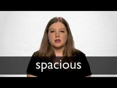 synonym for spacious synonym for spacious