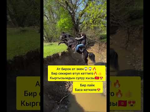 Ат бирок ат экен😍😍🔥🔥🇰🇬#horse #кыргызкызы #bishkek #рек #reels #лошадки #shorts