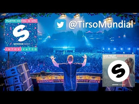 Martin Solveig & GTA ft. Sam Feldt  - Intoxicated Love (Hardwell Mashup)
