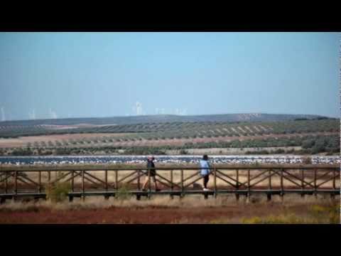 Fuente de Piedra: R�gion Antequera