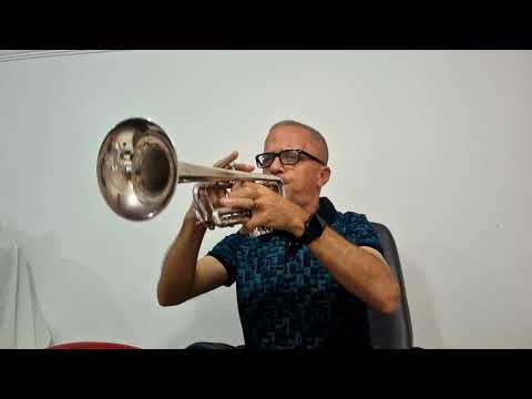 A JORNADA FAREI - HINO 350 - FERNANDO LOPEZ.