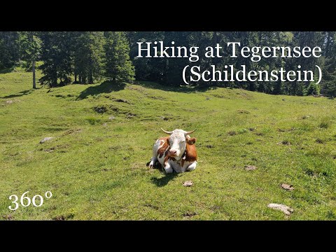 Hiking at Tegernsee (Schildenstein)
