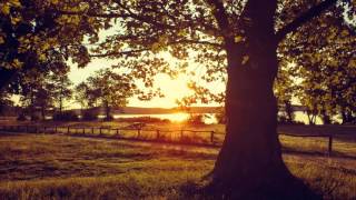 Relaxing Piano Music Most Wonderful and Beautiful music Long Playlist Peaceful Piano