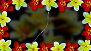 Bag a boo Monkey man