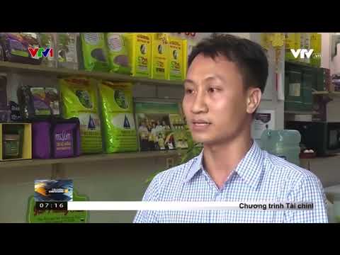 Bình ổn Giá Gạo ST25 Ông Cua chính hãng - Không Tăng Giá Mùa Tết