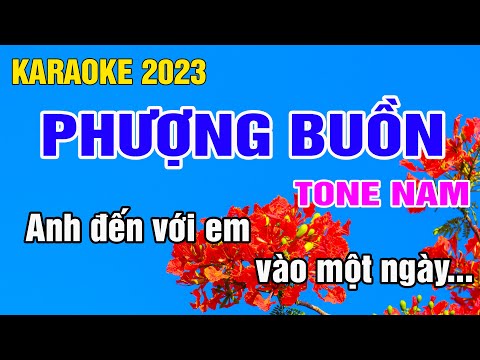 Phượng Buồn Karaoke Tone Nam Nhạc Sống gia huy beat