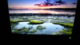 Video thumbnail for BenQ EW2430 by Terrayon