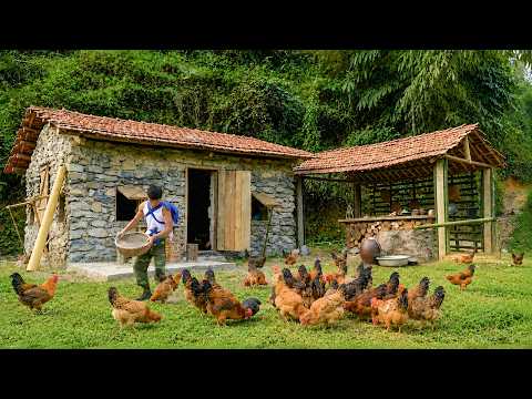 Full Video: Building a New Life &ndash; Caring for the Baby, Tending Chickens & Finishing the New Kitchen
