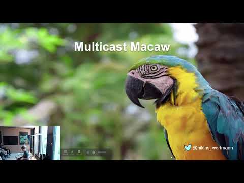 Angular Berlin - Welcome to the RxJS multicasting jungle by Jan Niklas Wortmann (2019-06-04)