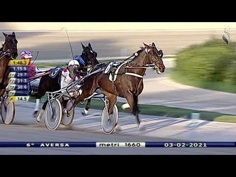 Aversa trotto 3 Febbraio 2021 - 6° Corsa