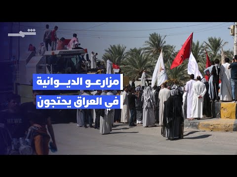 فيديو | مزارعو الديوانية في العراق يحتجون على الجفاف والإهمال الحكومي