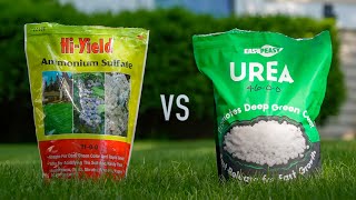 Experiment: What type of Nitrogen produces the DARKEST Green Lawn