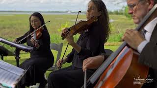 Canon in D - Pachelbel