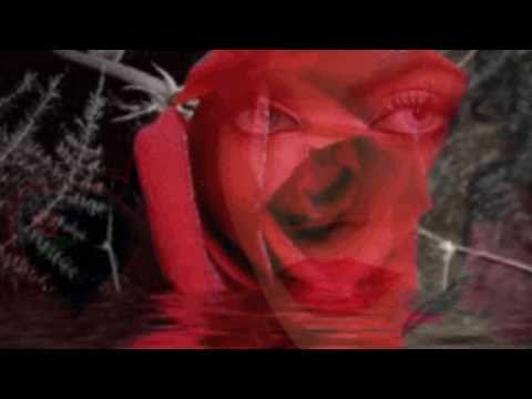 Rose Of My Heart video