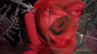 Rose Of My Heart - Johnny Rodriguez.avi