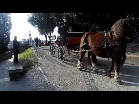 Benedizione degli Animali AIA - 17 gennaio 2015