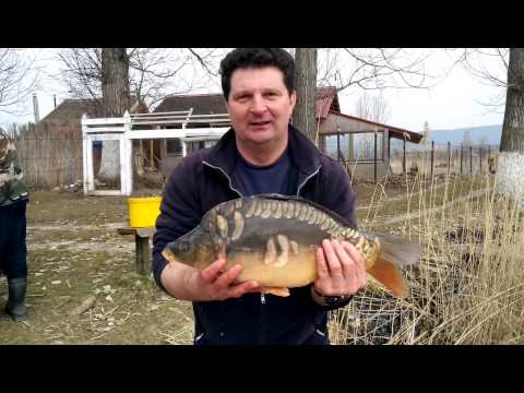 Populare balta Belin (la Bela) martie 2015