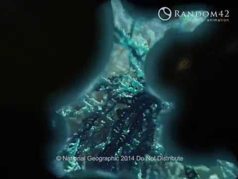 Mysteries of the Unseen World