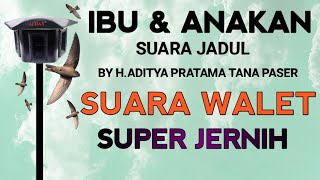 Download lagu SUARA PANGGIL WALET | SP. IBU & ANAKAN WALET BY MASTER EDITOR H.ADITYA PRATAMA TANA PASER mp3