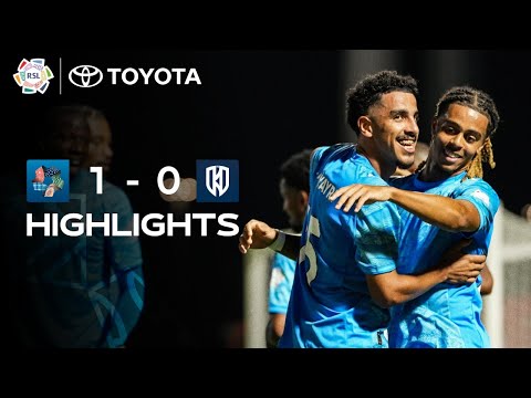bg-highlight