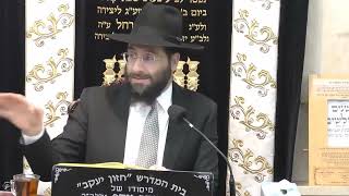 הרב משה יוסף • דיני ערוב תבשילין לצורך שבת שאחר יו"ט