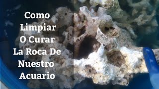 🔵 Como Limpiar Y curar Rocas Para Nuestro Acuario (Acuarios MB)