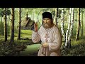 Над лесною пустынькой птички заливаются