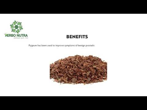 Pygeum Bark Extract