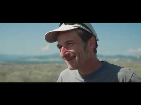 TAOASIS - Imagefilm zum Lavendelanbau