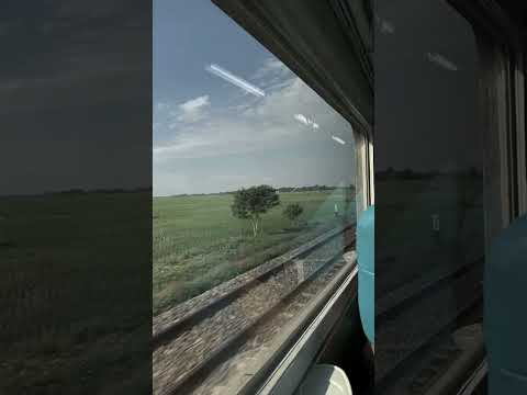 pap random kane aesthetic...