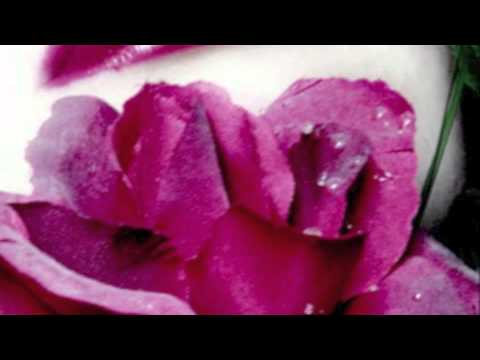 Mis. Atrocity- Harsh Reality