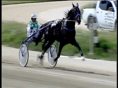 Trotto 04/06/2019 - 2ª corsa