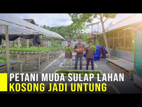 , title : 'Petani Muda Sulap Lahan Kosong Ditengah Kota Jadi Pertanian Terintegrasi Hasil Panen Berlimpah'