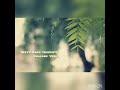 NEE KRUPA CHALUNU WhatsApp Status