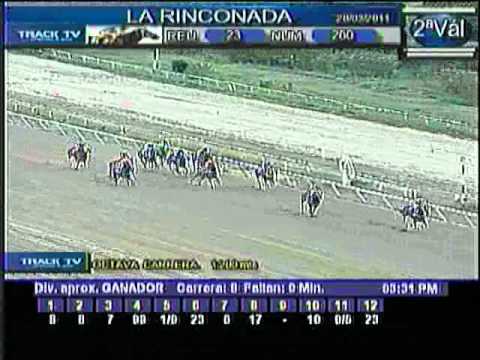 Resumen Domingo, 20 de Marzo de 2011 - La Rinconada