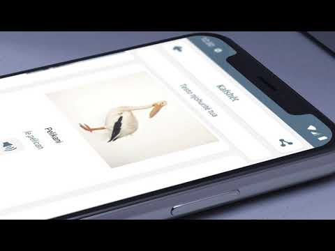 Meso Frengjisht Video