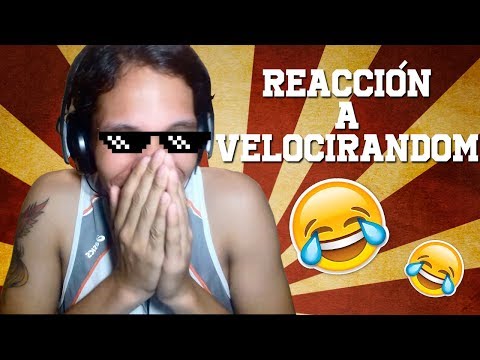 REACCIONANDO A VELOCIRANDOM - "Cabeza de Rodilla" - Dicai JMC