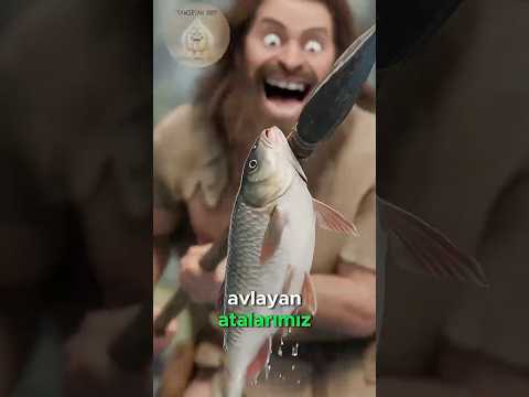 Oltanın Doğuşu: Bir Gölge, Bir Buluş! 🎣🌞🐟