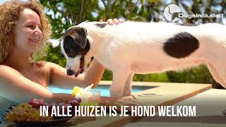 hondvriendelijke vakantiehuizen met een zwembad